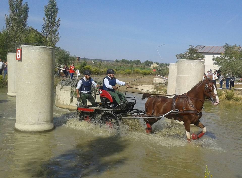 David Aramendía y Carmen Goiburu, Campeones Navarros de Enganches Completo en Troncos y Limoneras